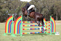 Arena 1 1.30m Stonewall May 2023-8