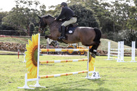 Arena 1 1.30m Stonewall May 2023-15