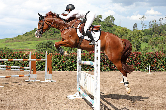 The Oaks & District Showjumping March 2021