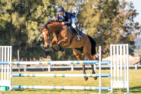 Jump Into Spring Sept 2017