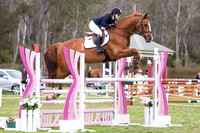 Nicolette Riders Series