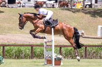 SCC 6YO-11