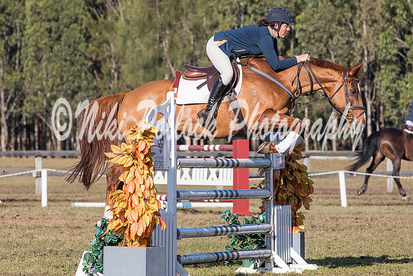 Cat A&B Round 3-17