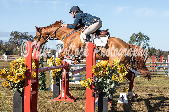Cat A&B Round 3-18