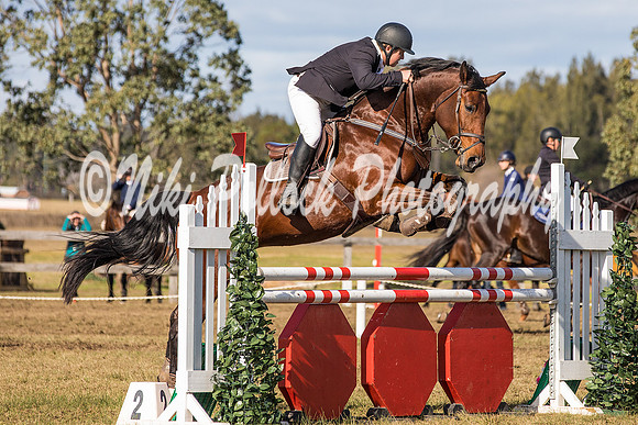 Cat B Round 4-11