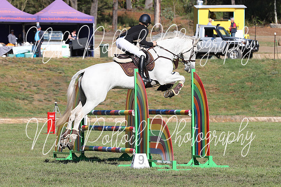 AbbeyK Stonewall Nov 2021-5