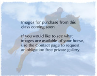 Website Place holder 2