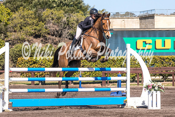 Waratah_Fri_1.10-1.15 Arena 2-8