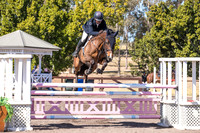 Waratah_Fri_1.10-1.15 Arena 2-10