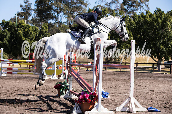 Waratah_Fri_1.10-1.15 Arena 2-14