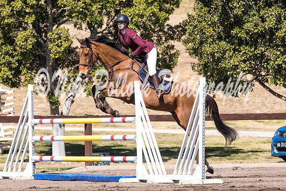 Waratah_Fri_1.10-1.15 Arena 2-15