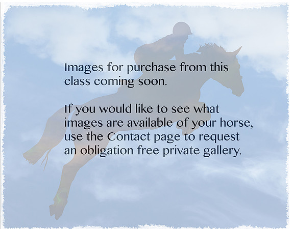 Website Place holder 2